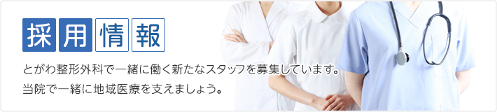 採用情報